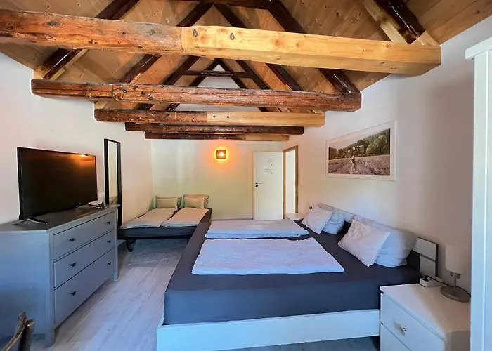 Hotel mit Hund 24-7 Apartment Passau